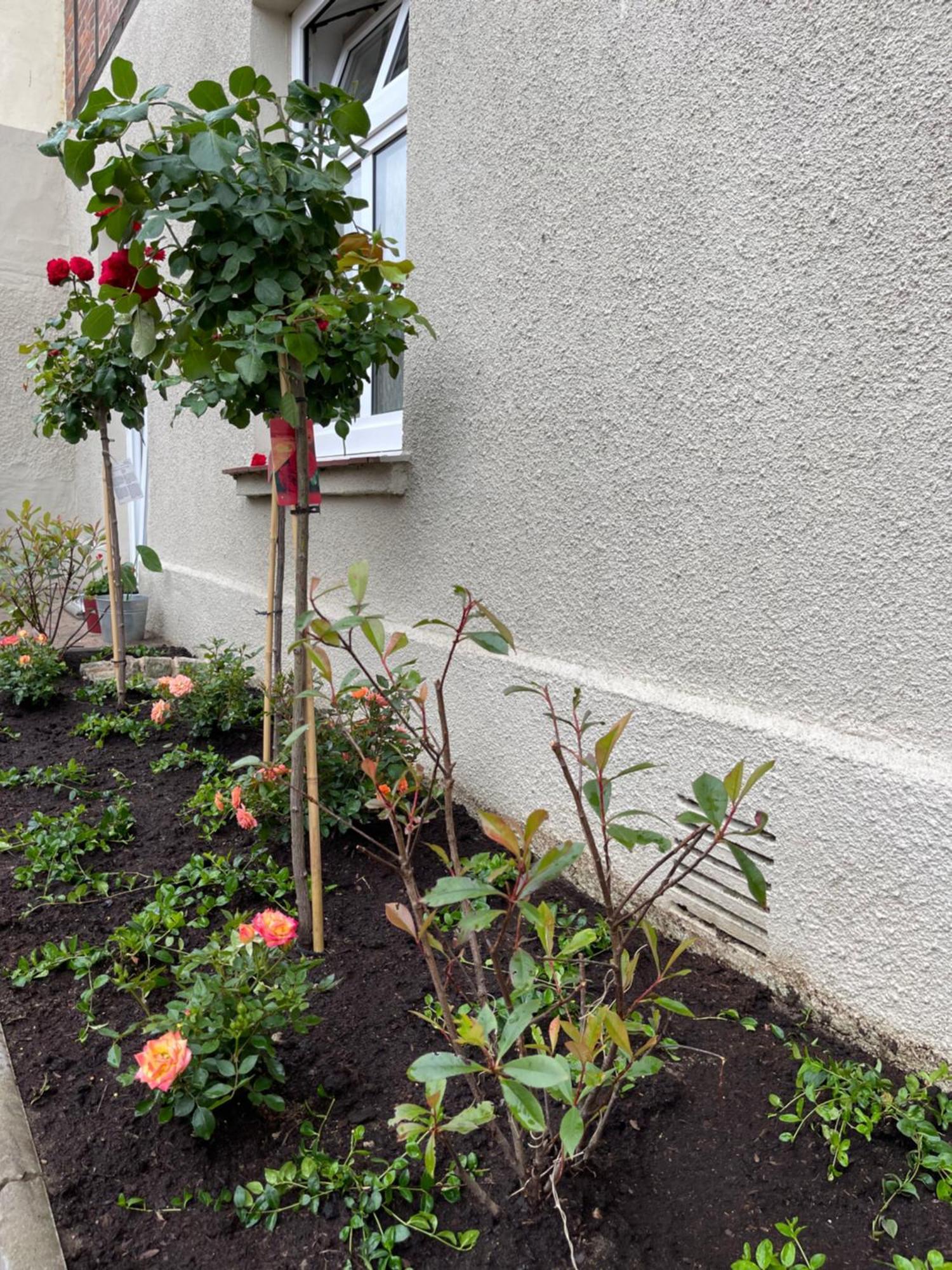Appartamento Hofquartier Schwerin Schwerin  Esterno foto