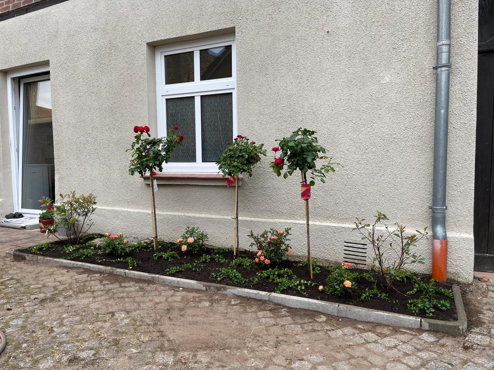 Appartamento Hofquartier Schwerin Schwerin  Esterno foto